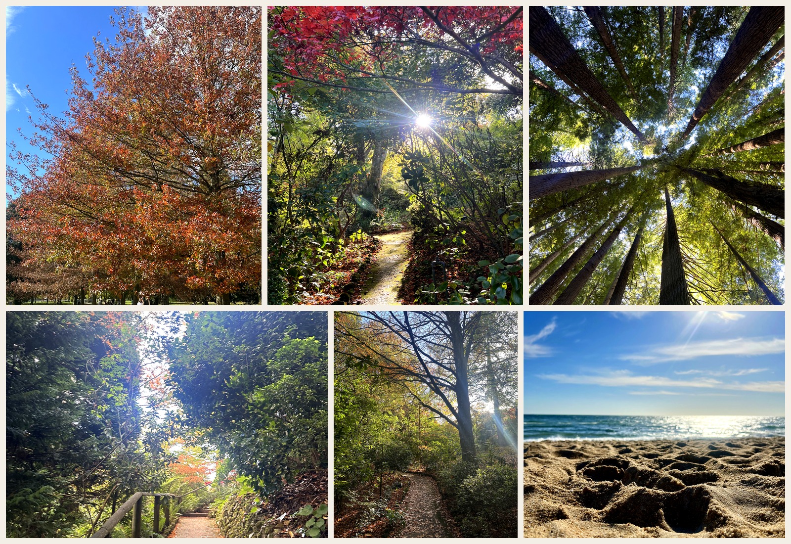Trails and walks